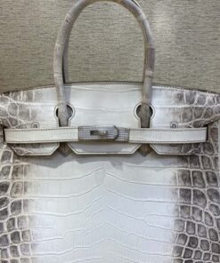 Hermès Himalaya Birkin 30 Bag
