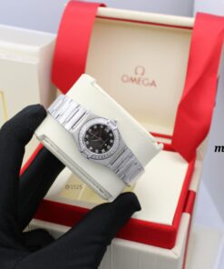 Omega Seamaster Aqua Terra Watch