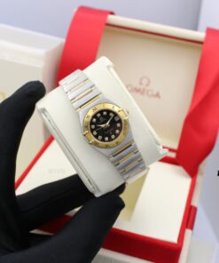 Omega Seamaster Aqua Terra Watch