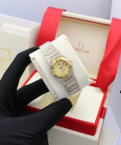 Omega Seamaster Aqua Terra Watch