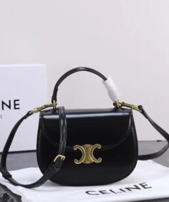 Multicolor Celine Bags