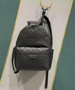 Louis Vuitton  Canvas Backpack For Women