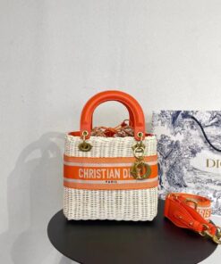 Christian Dior Tote Bag For Women