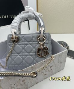 Christian Dior Lady Medium Leather Bag
