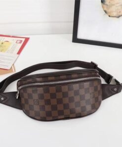 Louis Vuitton Bumbag Stylish Summer Bags