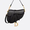 Dior Saddle Bag with leather strap and gold metal details