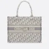 Close-up of authentic Dior Book Tote in gray/beige Oblique motif with 'Christian Dior Paris' band.