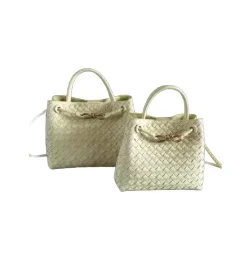 bottega veneta bag andiamo medium in cream