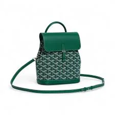 Close-up of the stylish mini backpack's top handle and front flap closure with buckle.