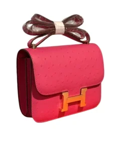 Detailed shot of gold "H" snap lock closure on Hermès Constance 18 bag