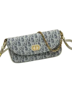 Dior 30 Montaigne D-Vine Chain Pouch with detachable leather strap and gold metal chain