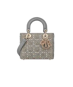 Luxury designer handbag interior space with compact storage compartments